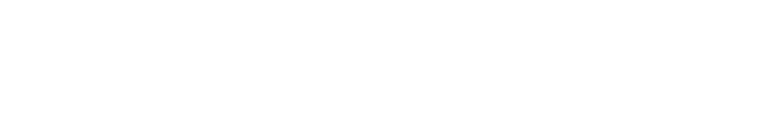 Logo_Disaster-white2